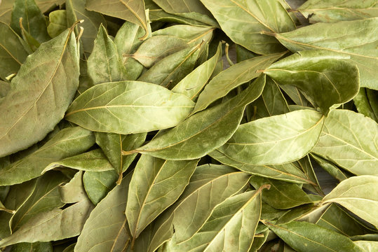 Dry bay leaves
