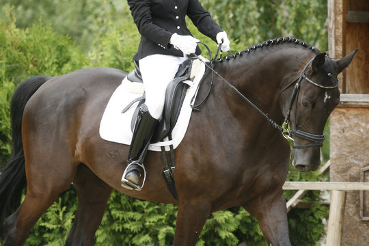 Unknown rider riding on a dressage horse