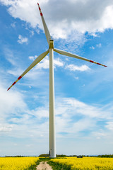 Fototapeta premium Windmills