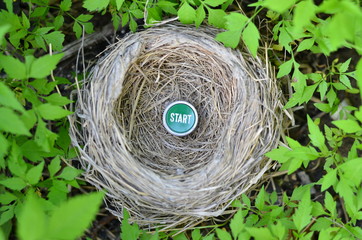 nest with start button