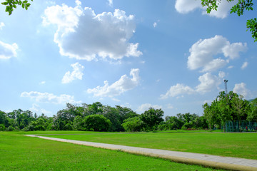 Trees and lawn on a bright summer day in green park