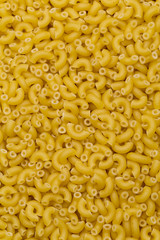 Macaroni Pasta