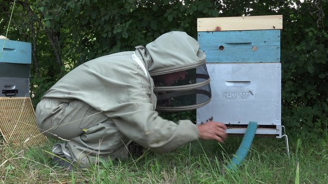 aide &agrave; la remont&eacute;e des abeilles en fin d'op&eacute;ration