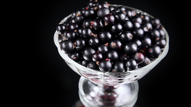 Black Currants in a Glass