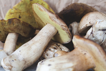 Cut white mushrooms closeup