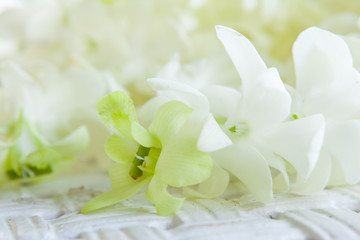 Orchid petals Being prepared is used in wedding ceremonies.