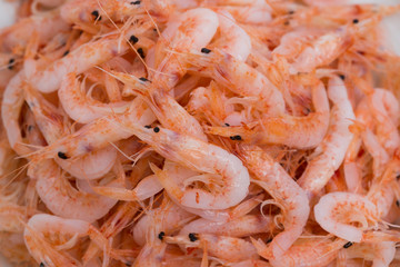 釜揚げのサクラエビ