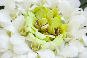 Orchid petals Being prepared is used in wedding ceremonies.