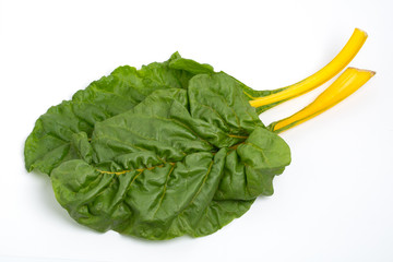 スイスチャード