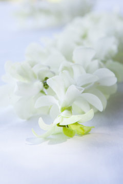 Orchid petals Being prepared is used in wedding ceremonies.