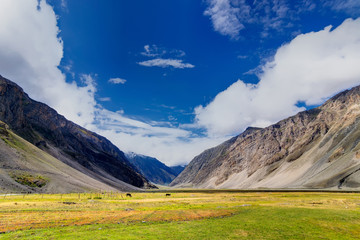 Drass village, Kargil, Ladakh, Jammu and Kashmir, India