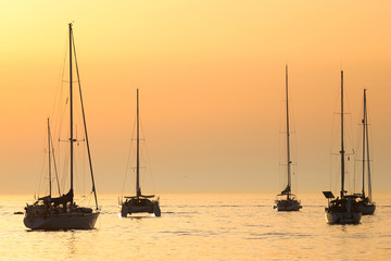 Sailboats at sunset in Adriatic sea © Goran Jakus