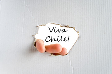 Viva chile text concept