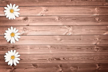 Wood planks background with daisies