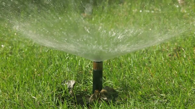 The Automatic Sprinkler When Watering The Lawn