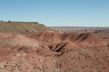 Painted desert Landscape