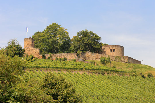 Burgruine Weibertreu in Weinsberg 