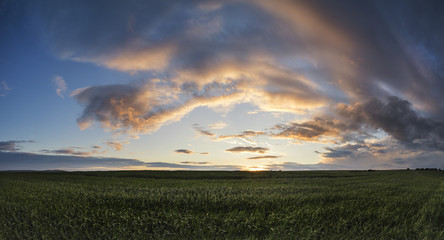 Fototapeta premium Beautiful panorama landscape South Downs countryside in Summer