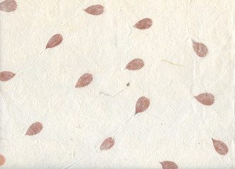 Natural and Handmade Petal Paper Texture