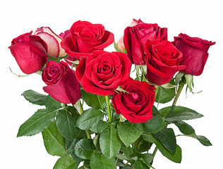 bouquet of red roses isolated on white background