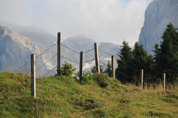Fototapeta premium Zaun