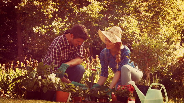 Happy couple gardening in the park
