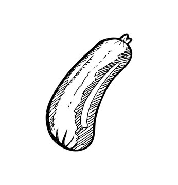 sausages doodle