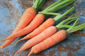 fresh carrots