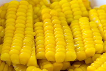 Sliced Steamed Sweet Corn