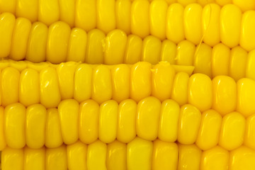 Sliced Steamed Corn