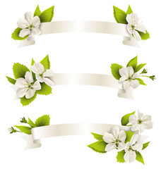 Festive satin ribbon garland flag with cherry flowers isolated o