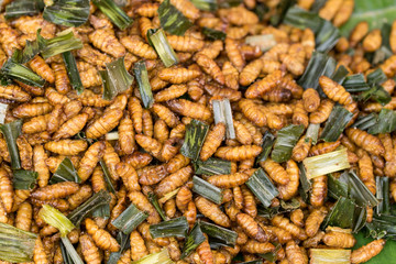 Thai style roasted insect on street food