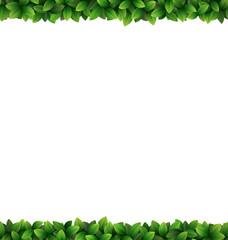 Green leaves frame isolated on white background