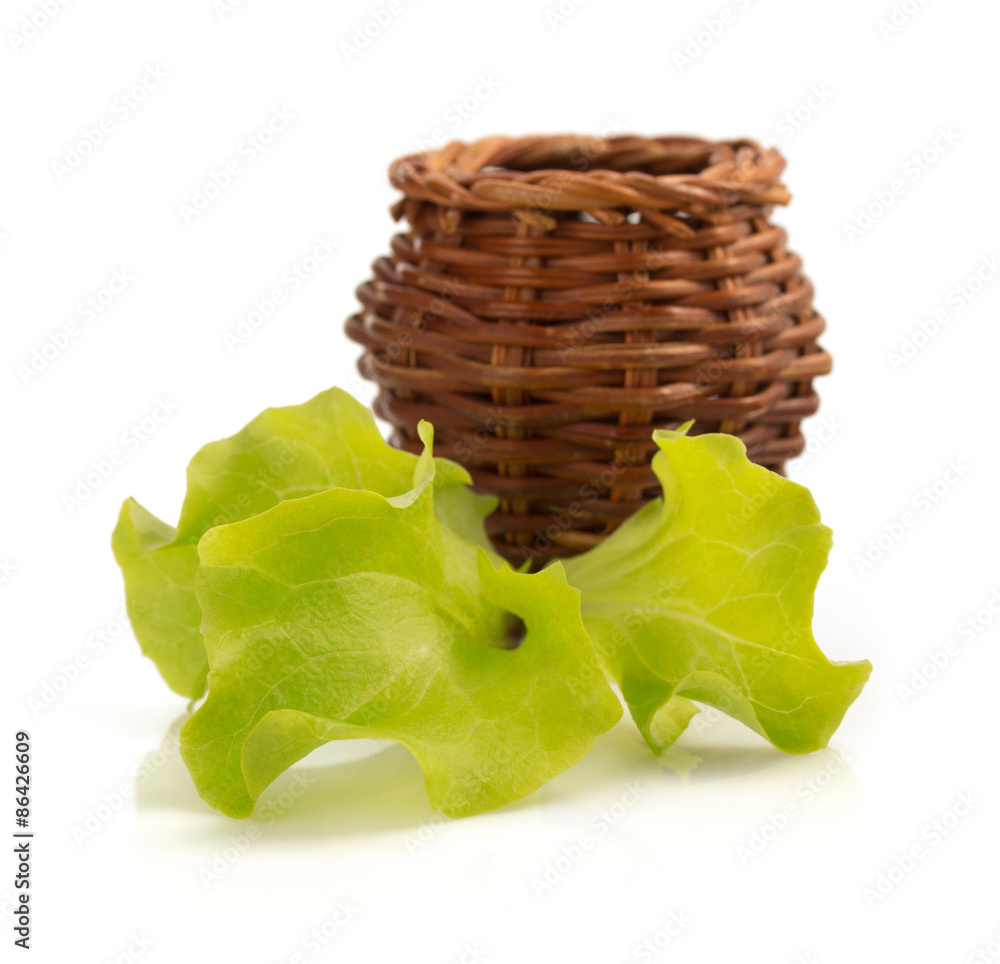 Sticker salad leaf isolated on white