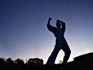 Healthy lifestyle : Silhouette of a girl practicing the karate d
