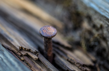 Nagel im Steg durch den Ober-Olmer Wald