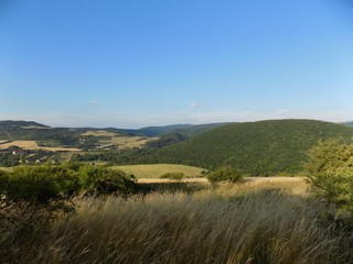 Naklejka premium Landscape