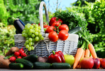 Variety of fresh organic vegetables and fruits in the garden