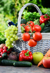 Variety of fresh organic vegetables and fruits in the garden