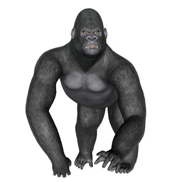 Angry gorilla walking - 3D render