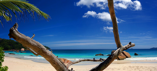 Plage des Seychelles
