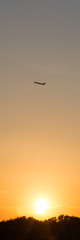 airplane in front of a hot evening sun