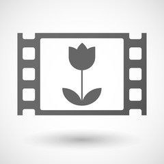 35mm film frame with a tulip