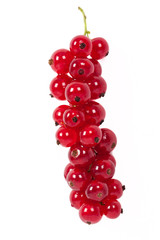 Redcurrant, isolated on white
