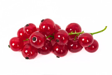 Redcurrant, isolated on white