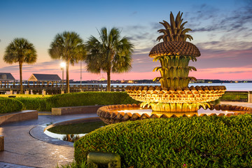 Fototapeta premium Park Charleston Waterfront