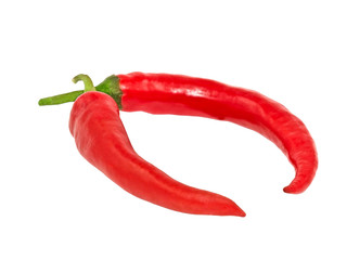 Red hot chile pepper isolated on white background.