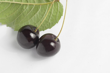 Frische schwarze kirschen cherry mit blatt