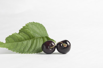 Frische schwarze kirschen cherry mit blatt