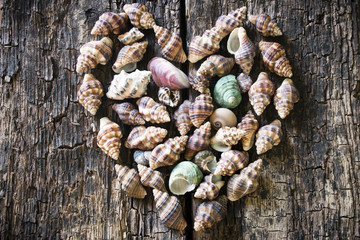 Heart of seashells on a wooden background